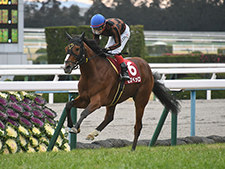 競馬学校騎手課程 女性 1名含む 7名が合格