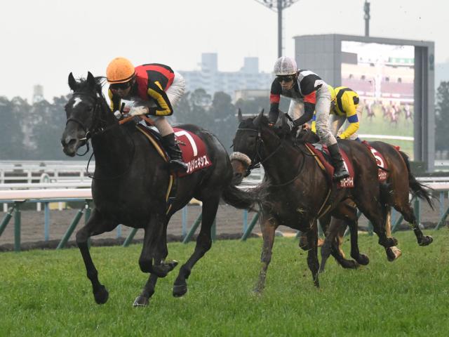 【有馬記念見どころ】2020年の総決算！ファン投票1位クロノジェネシスら好メンバー揃う