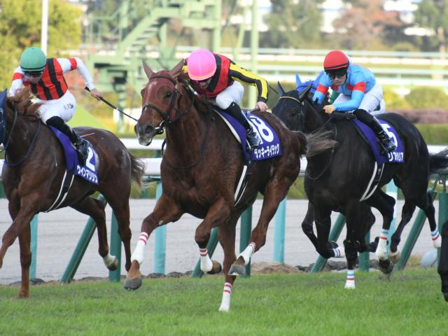 有馬記念がラストランとなるラッキーライラックは有終の美を飾れるか