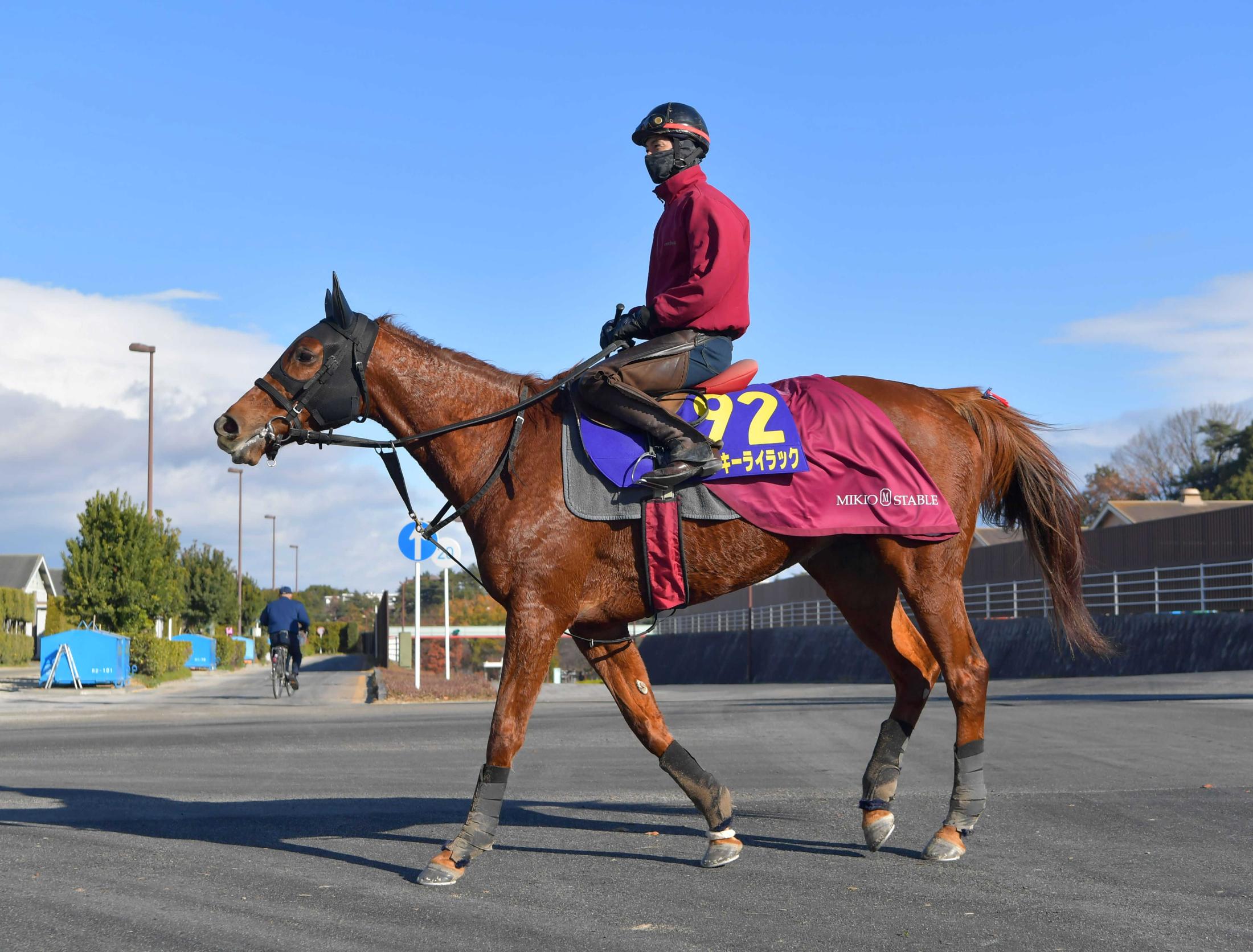 有馬記念 ラッキーライラック 有終ｖへ好ムード 丸内助手 上向いている感じ 競馬ニュース Netkeiba Com