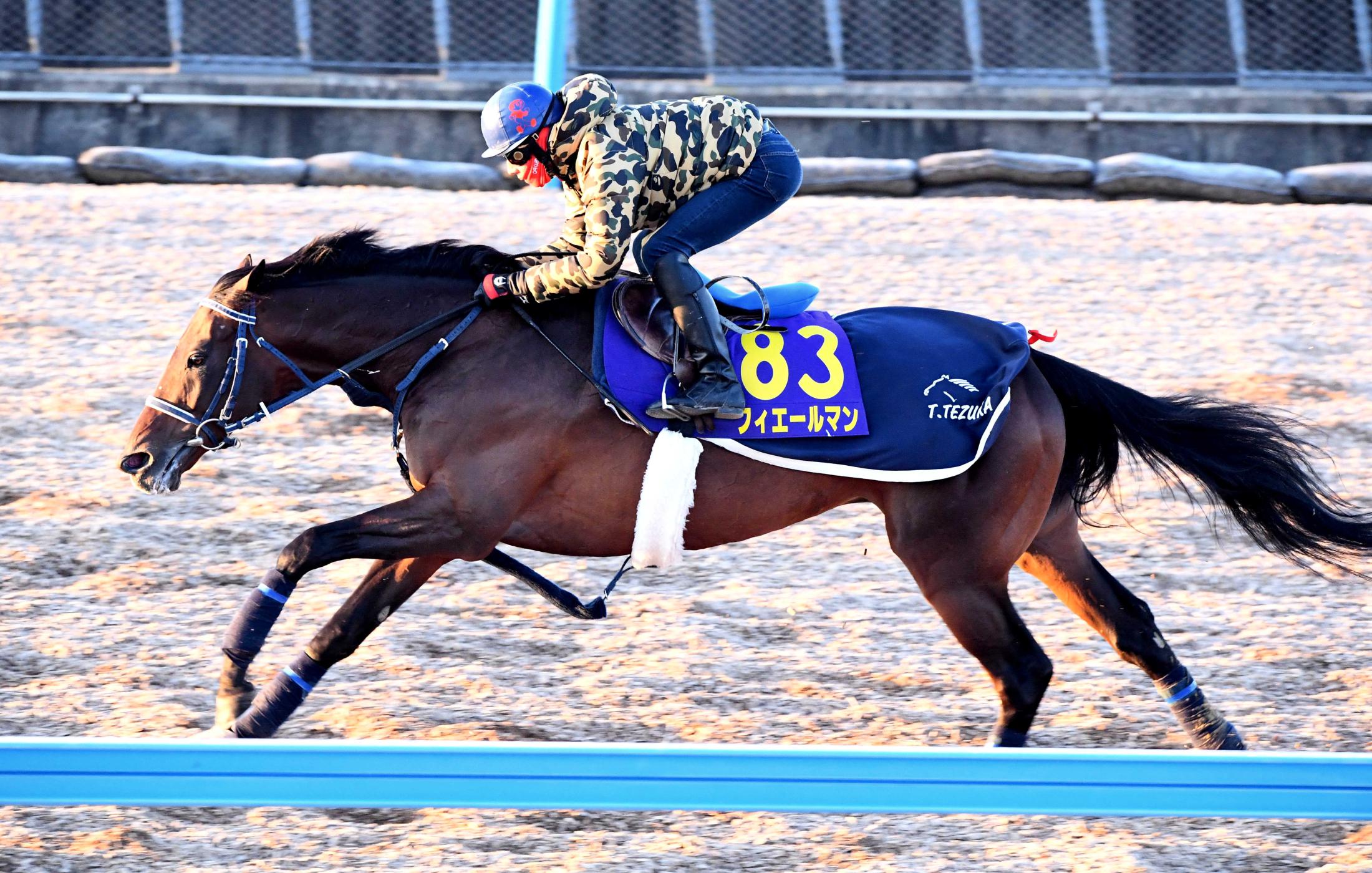 有馬記念 フィエールマン 動き抜群上昇ムード 状態 ローテ全て前年以上 競馬ニュース Netkeiba Com