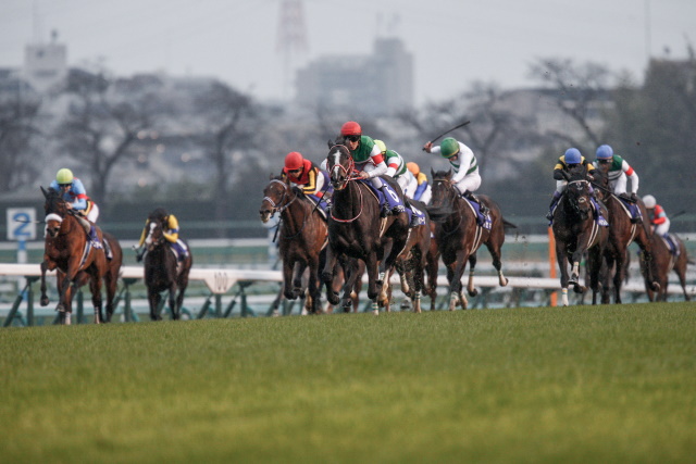 昨年は3枠6番のリスグラシューが制した有馬記念。今年は果たして…(撮影：下野雄規)