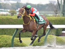 みやこSで初のダート重賞を勝利したクリンチャー(c)netkeiba.com