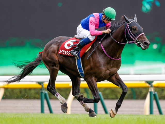 競馬 オッズ 東京