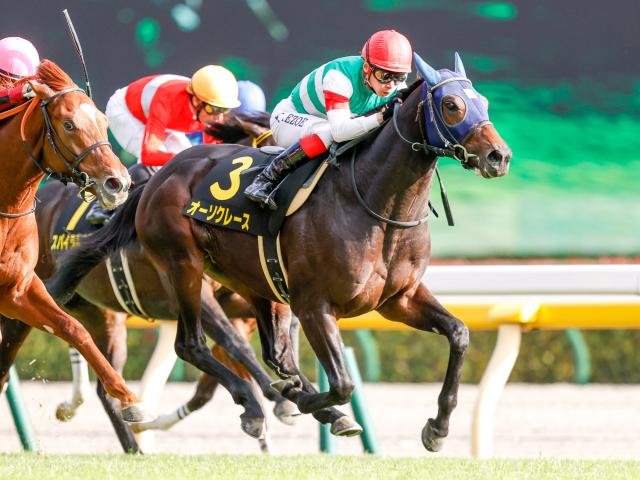 本日の注目ポイント 中山でホープフルsと中山大障害 阪神では阪神c 競馬ニュース Netkeiba Com