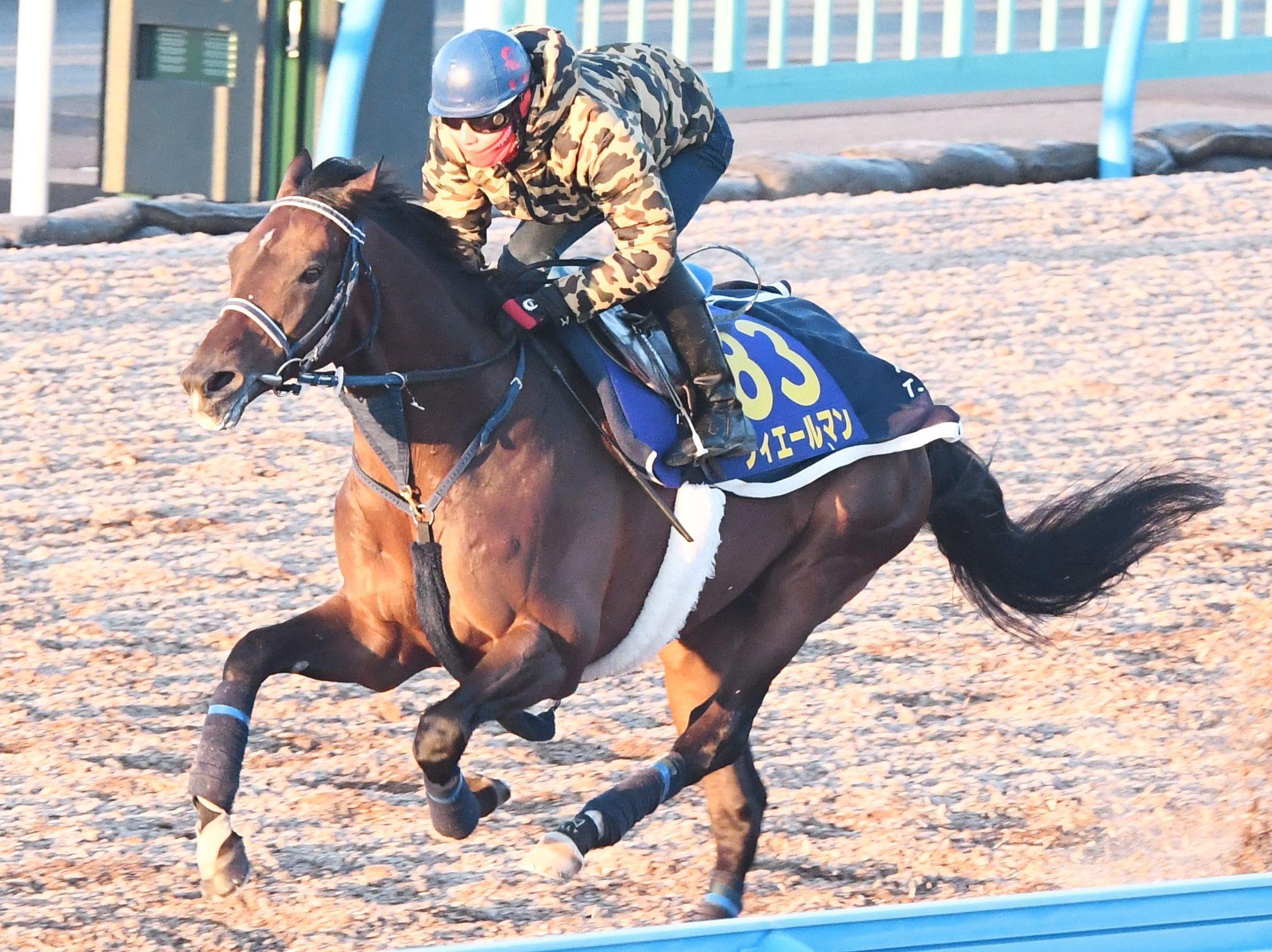 有馬記念 フィエールマン落ち着き十分 手塚師 向正面あたりから仕掛ける 競馬ニュース Netkeiba Com