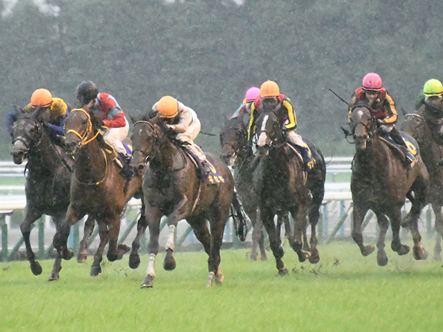 有馬記念予想 Netkeiba発のaiが妙味ある馬を見つけた 混戦模様のグランプリで要注目の1頭 Jraレース展望 競馬ニュース Netkeiba Com