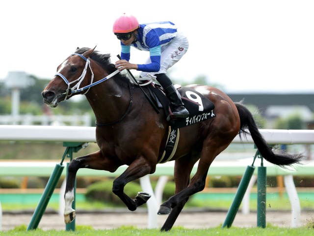 12 27の注目厩舎 寺島良厩舎 ディバインフォース勝機十分 馬三郎 競馬ニュース Netkeiba Com