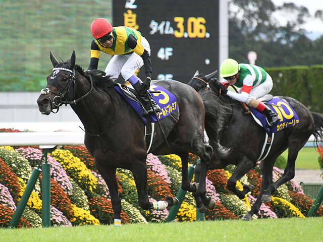 有馬記念予想 得意なローテで挑んできた馬を狙い撃て データから浮上してきた 2頭のクラシックホース とは データ分析 競馬ニュース Netkeiba Com