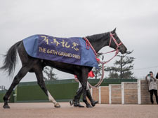 2020年の総決算・有馬記念はどんな結末が待っているのだろうか(撮影：下野雄規)