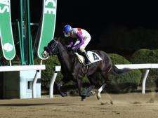 鮫島克也騎手が佐賀8Rで通算5000勝を達成(写真提供：佐賀県競馬組合)