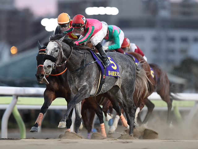 ライブ 大井 競馬