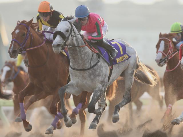 大井 東京大賞典結果 オメガパフュームが激戦を制し史上初の3連覇達成 競馬ニュース Netkeiba Com