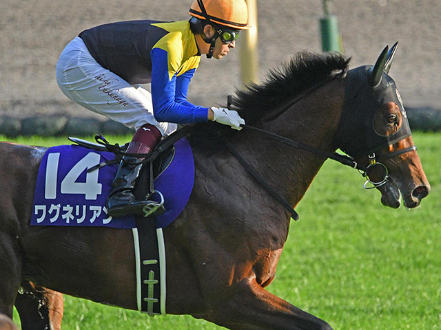 次走 ワグネリアンは2月の京都記念へ 18年の日本ダービー馬 競馬ニュース Netkeiba Com