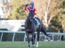 昨年の中山金杯を制したトリオンフ(撮影：下野雄規)