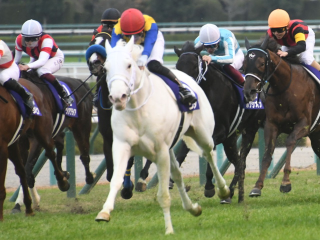 ソダシ 競馬記事一覧 | 競馬まとめ - netkeiba.com