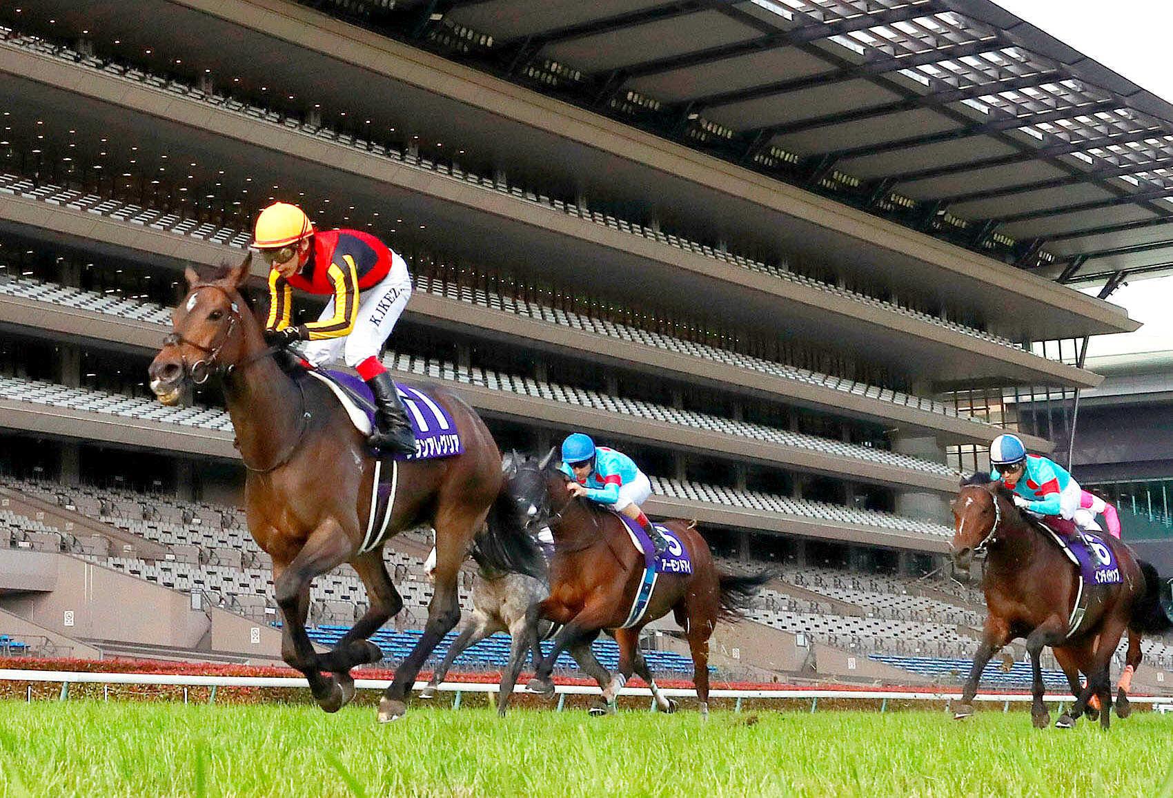 グランアレグリアは最優秀短距離馬 藤沢和師 最終章へ夢膨らむ 競馬ニュース Netkeiba Com