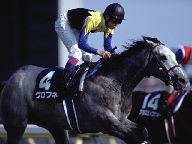 “平成のダート最強馬”クロフネが老衰のため23歳で死亡