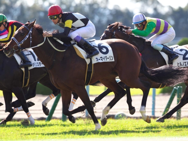 西尾特別 オーマイダーリン過去最高の仕上がり 馬三郎のつぶやき 競馬ニュース Netkeiba Com