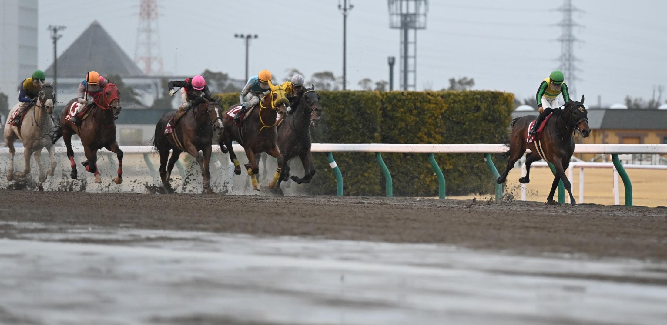 好メンバーの集まったg3フライングファイヴ 競馬ニュース Netkeiba Com