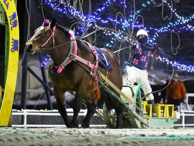 ばんえい 翔雲賞結果 タカナミが新設重賞を制す 競馬ニュース Netkeiba Com