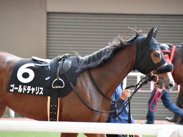 次走 中京2歳s覇者ゴールドチャリスはフィリーズレビューへ 競馬ニュース Netkeiba Com