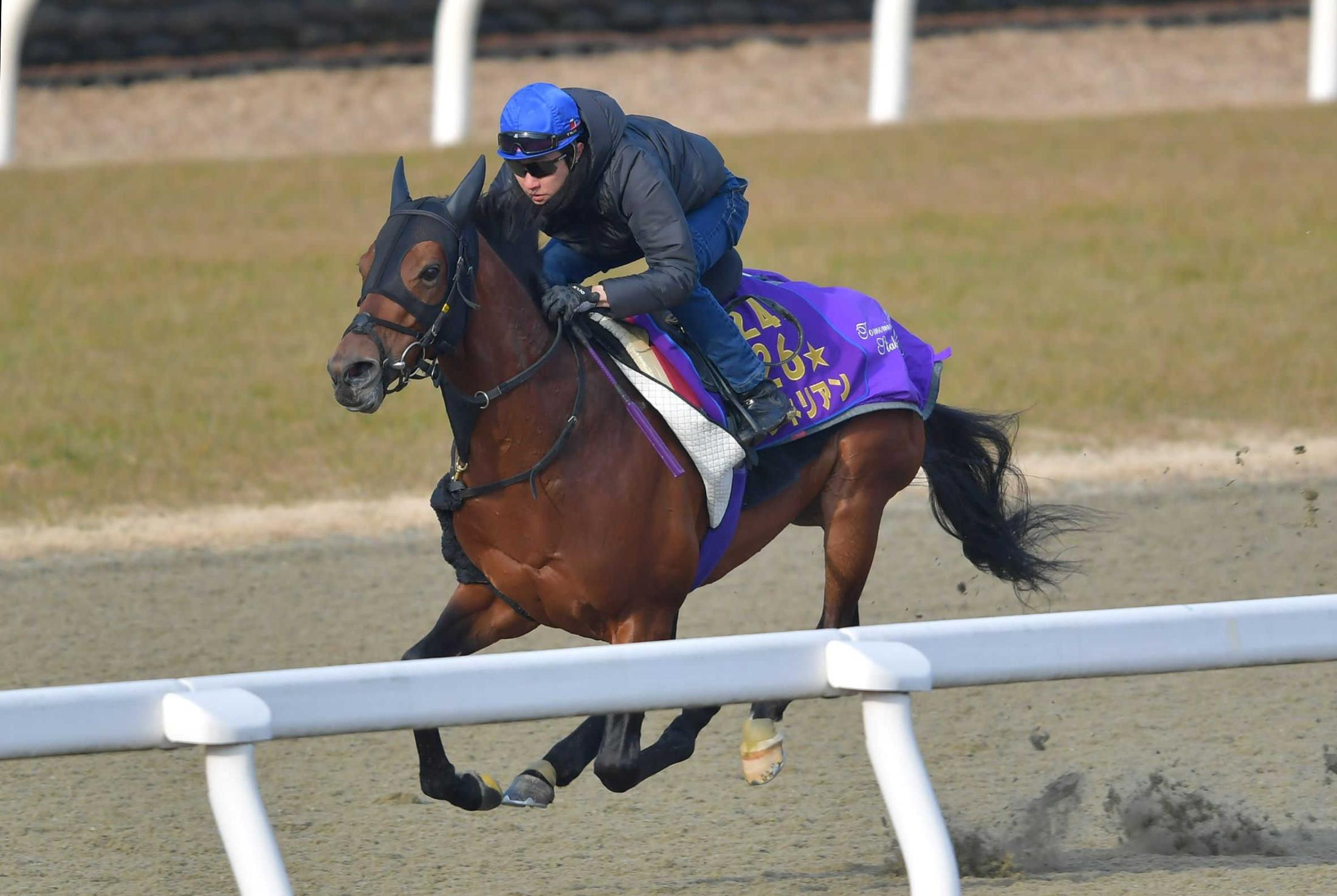 京都記念 ワグネリアン切れ味見せた 新タッグ武豊も認めた さすがダービー馬 競馬ニュース Netkeiba Com