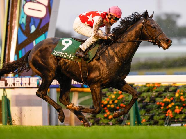 【共同通信杯】登録馬 ステラヴェローチェ、カイザーノヴァなど13頭