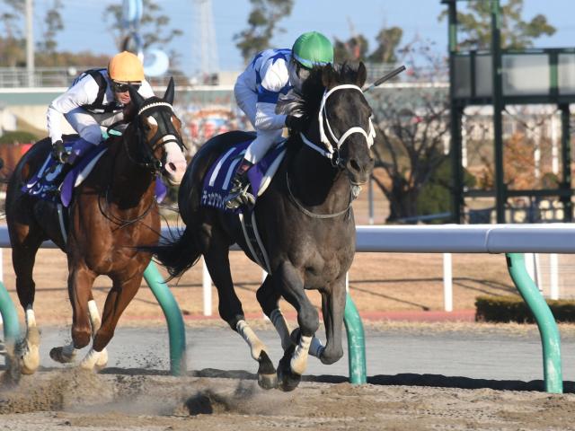 ã‚µã‚¦ã‚¸cæž é †ç¢ºå®š ãƒãƒ¥ã‚¦ãƒ¯ã‚¦ã‚£ã‚¶ãƒ¼ãƒ‰ã¯æœ€å†…æž ã‹ã‚‰ã®ã‚¹ã‚¿ãƒ¼ãƒˆ é¦¬ç•ªã¯4ç•ª ç«¶é¦¬ãƒ‹ãƒ¥ãƒ¼ã‚¹ Netkeiba Com