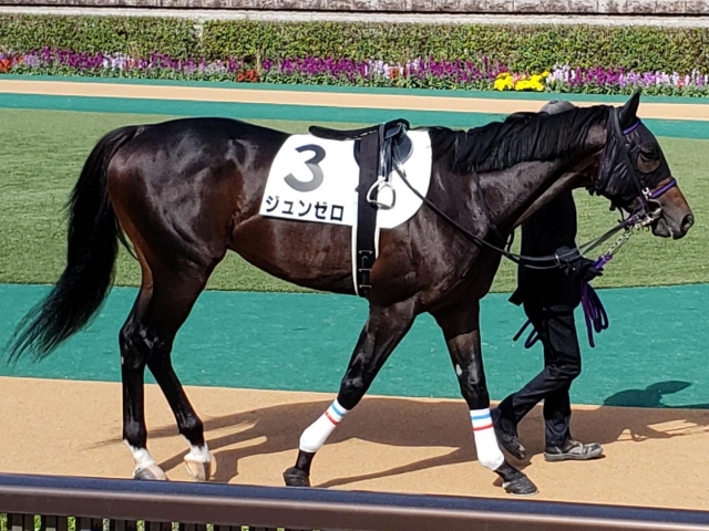 Pog ジュンゼロが前日追いで活気あふれる走り 馬三郎のつぶやき 競馬ニュース Netkeiba Com