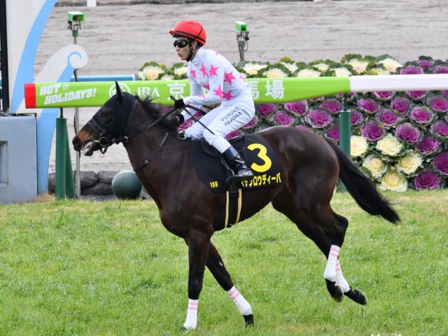海外競馬 父ディープインパクト 母ライトニングパールの馬名が Rakurai に 英のゴスデン厩舎所属 競馬ニュース Netkeiba Com