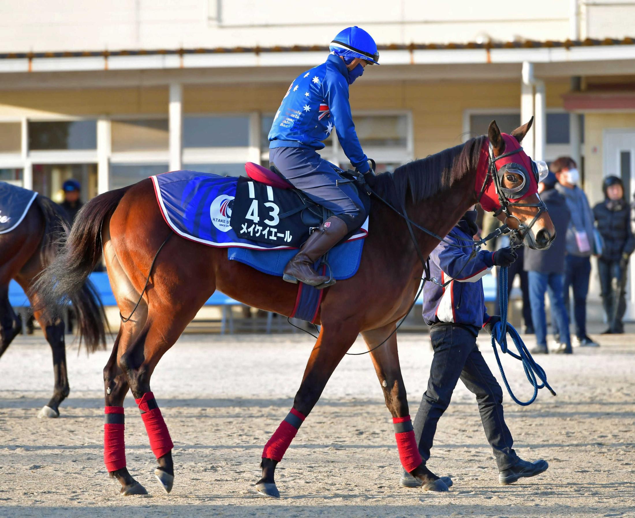 チューリップ賞 メイケイエール大人の走り見せる 気性面改善に手応え 競馬ニュース Netkeiba Com