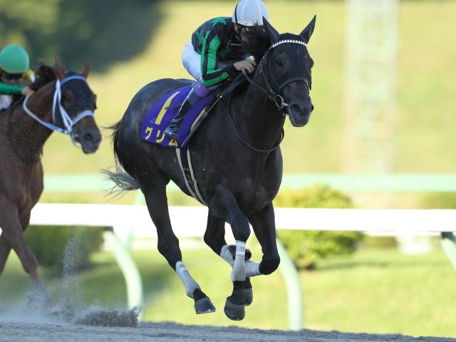 地方競馬,NAR,大井競馬場,川崎競馬場,船橋競馬場,浦和競馬場,帯広競馬場,門別競馬場,盛岡競馬場,水沢競馬場,金沢競馬場,笠松競馬場,名古屋競馬 場,園田競馬場,姫路競馬場,高知競馬場,佐賀競馬場,ばんえい競馬,高知けいば 競馬記事一覧 | 競馬まとめ - netkeiba.com