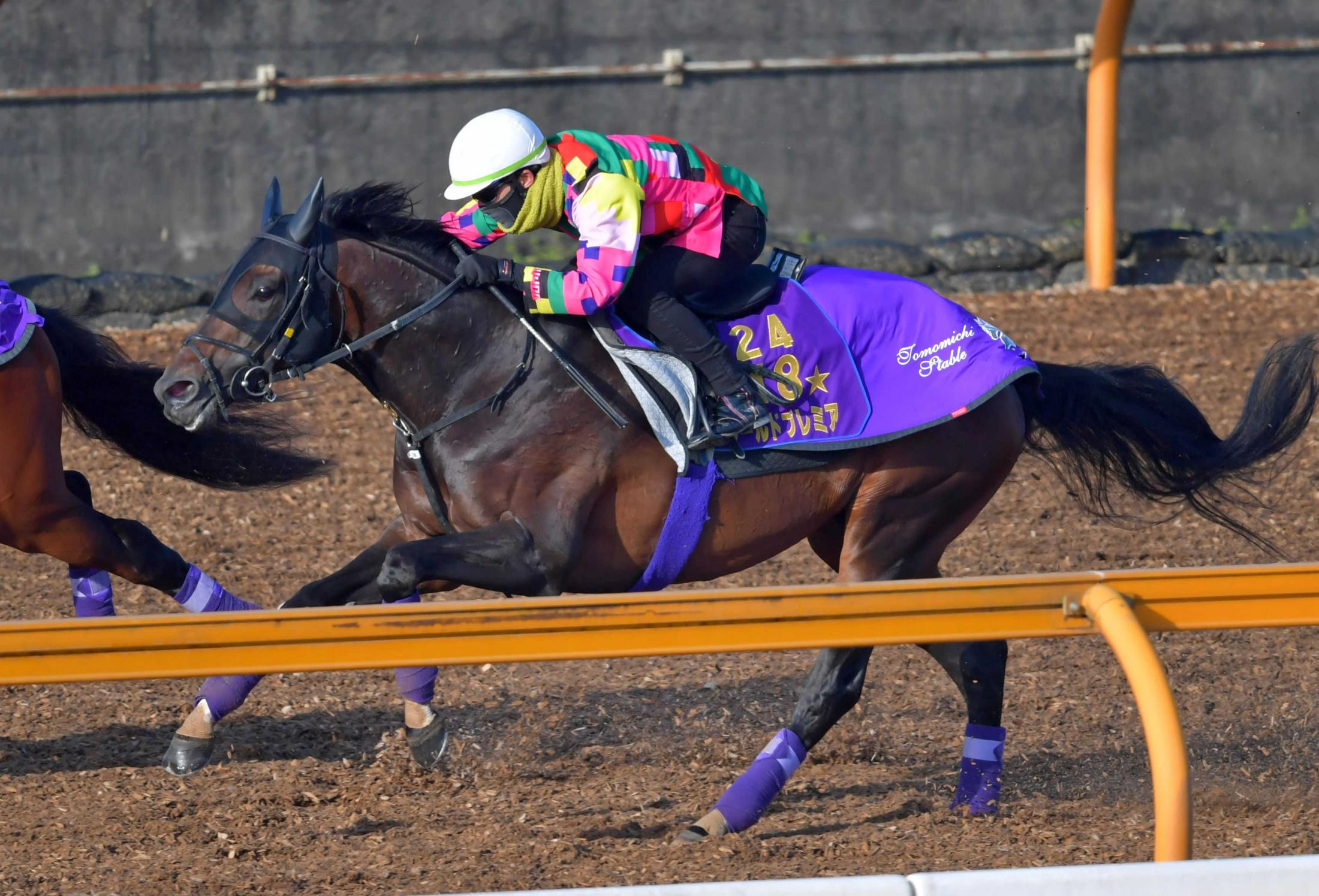 日経賞 ワールドプレミア軽快さ戻った 復活の５歳シーズンへ いい感じ 競馬ニュース Netkeiba Com