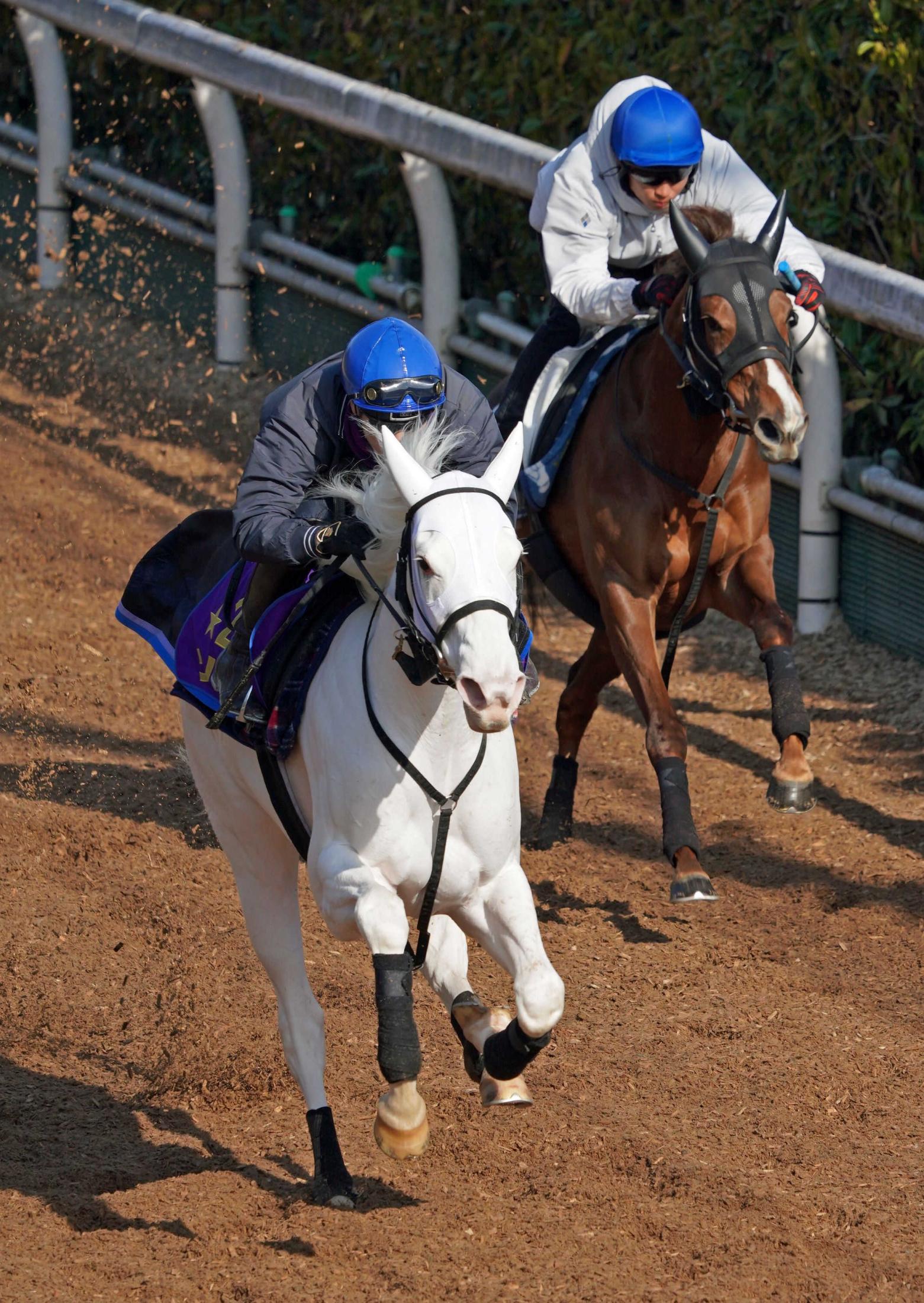 ソダシ 競馬記事一覧 | 競馬まとめ - netkeiba.com