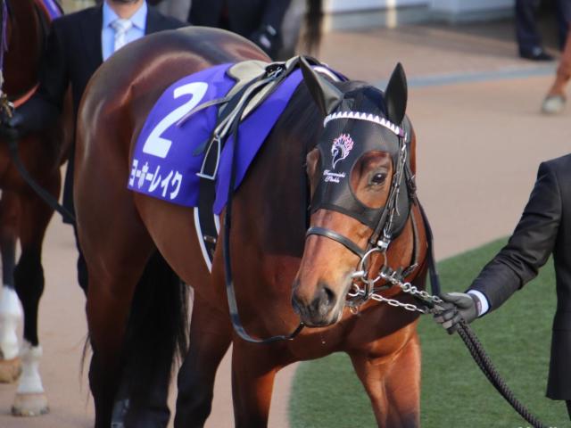 次走 武豊騎手骨折のためヨーホーレイクは岩田望来騎手との新コンビで皐月賞へ 競馬ニュース Netkeiba Com