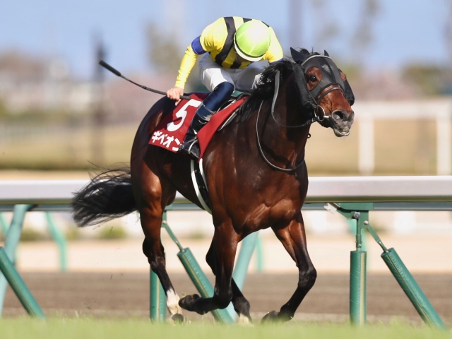 【大阪杯 出走馬決定順】フルゲート16頭に15頭の登録で除外なし