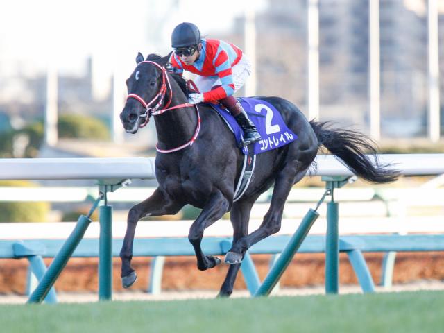 大阪杯出走馬 騎手確定 コントレイル 福永祐一騎手 グランアレグリア C ルメール騎手など13頭 競馬ニュース Netkeiba Com