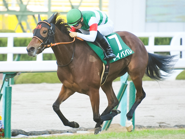 大阪杯予想 有力馬解説とコントレイルとグランアレグリアの優劣を判断するポイント 競馬ニュース Netkeiba Com