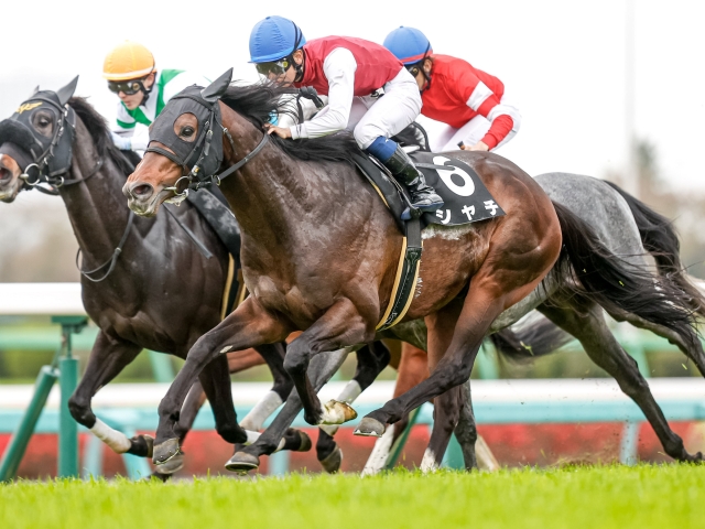 Jra Win5 1番人気が全敗 配当は5633万3400円に 競馬ニュース Netkeiba Com