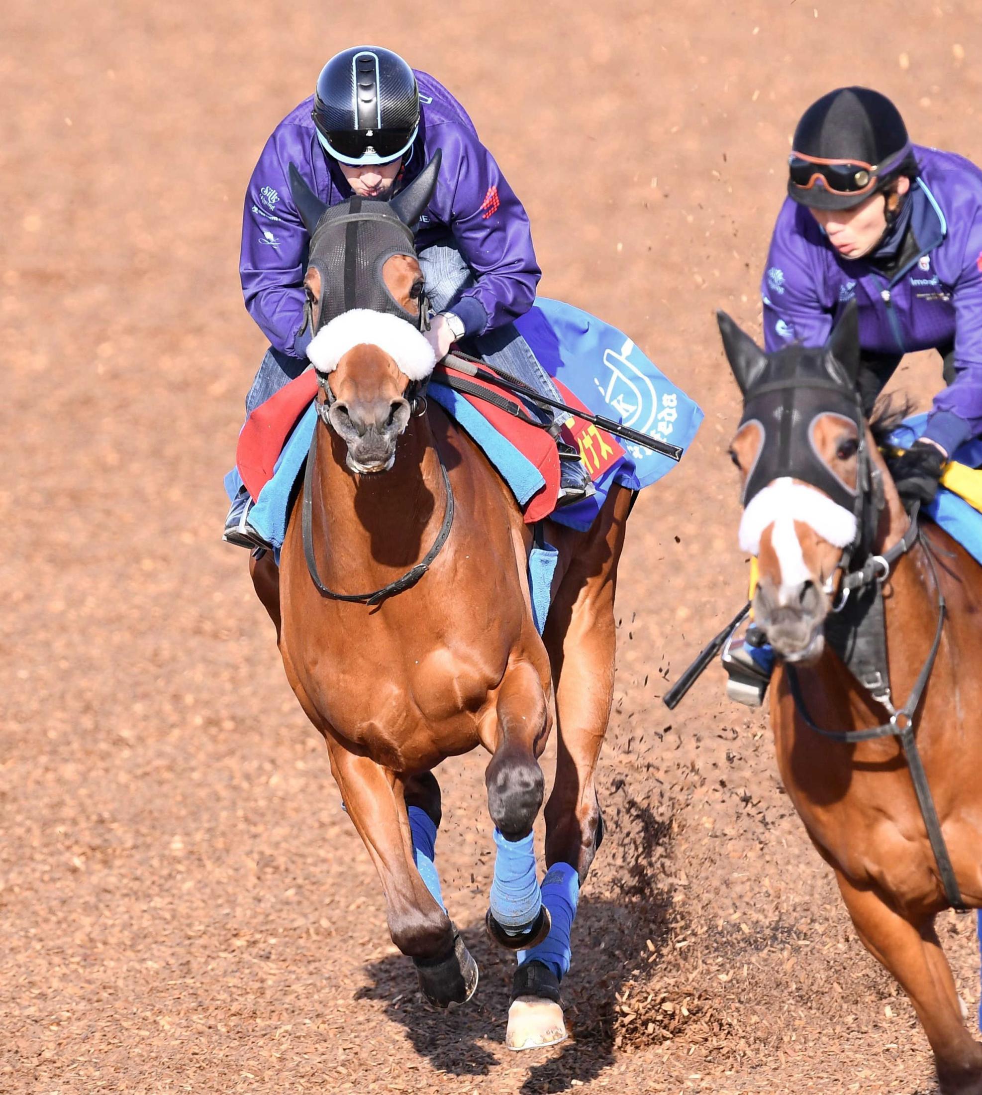 桜花賞 サトノレイナス万全 中１１８日ぶっつけ大一番もスイッチオン 競馬ニュース Netkeiba Com