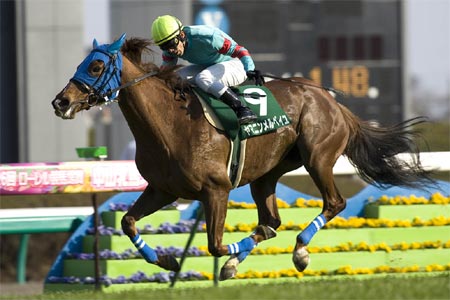 中山牝馬S、ヤマニンメルベイユが重賞初制覇