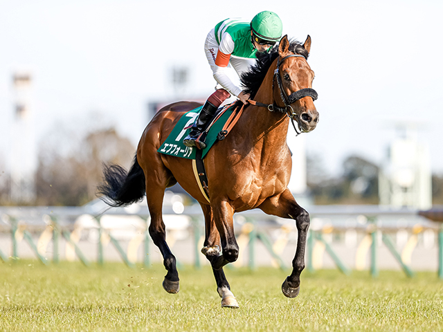 皐月賞想定騎手 エフフォーリアは横山武史騎手 ダノンザキッドは川田将雅騎手 競馬ニュース Netkeiba Com