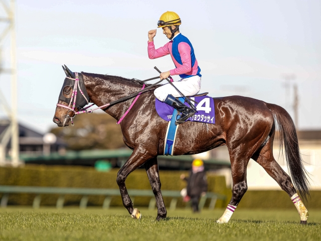 【中山グランドJ前日オッズ】メイショウダッサイが1.3倍で1番 ...