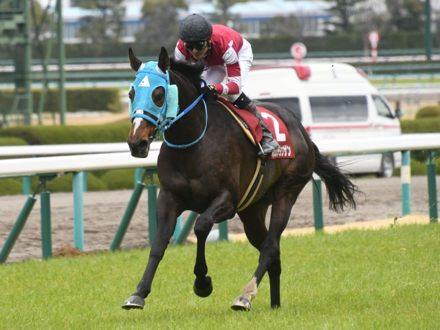 【4/17の注目厩舎・和田正一郎厩舎】6連覇に自信!オジュウ ...