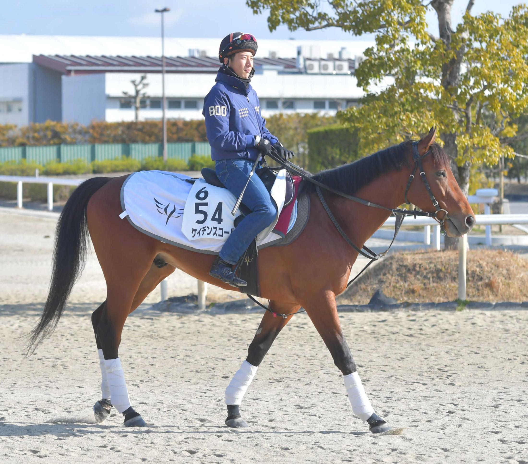 マイラーズカップ,マイラーズC,マイラーズＣ 競馬記事一覧 | 競馬 