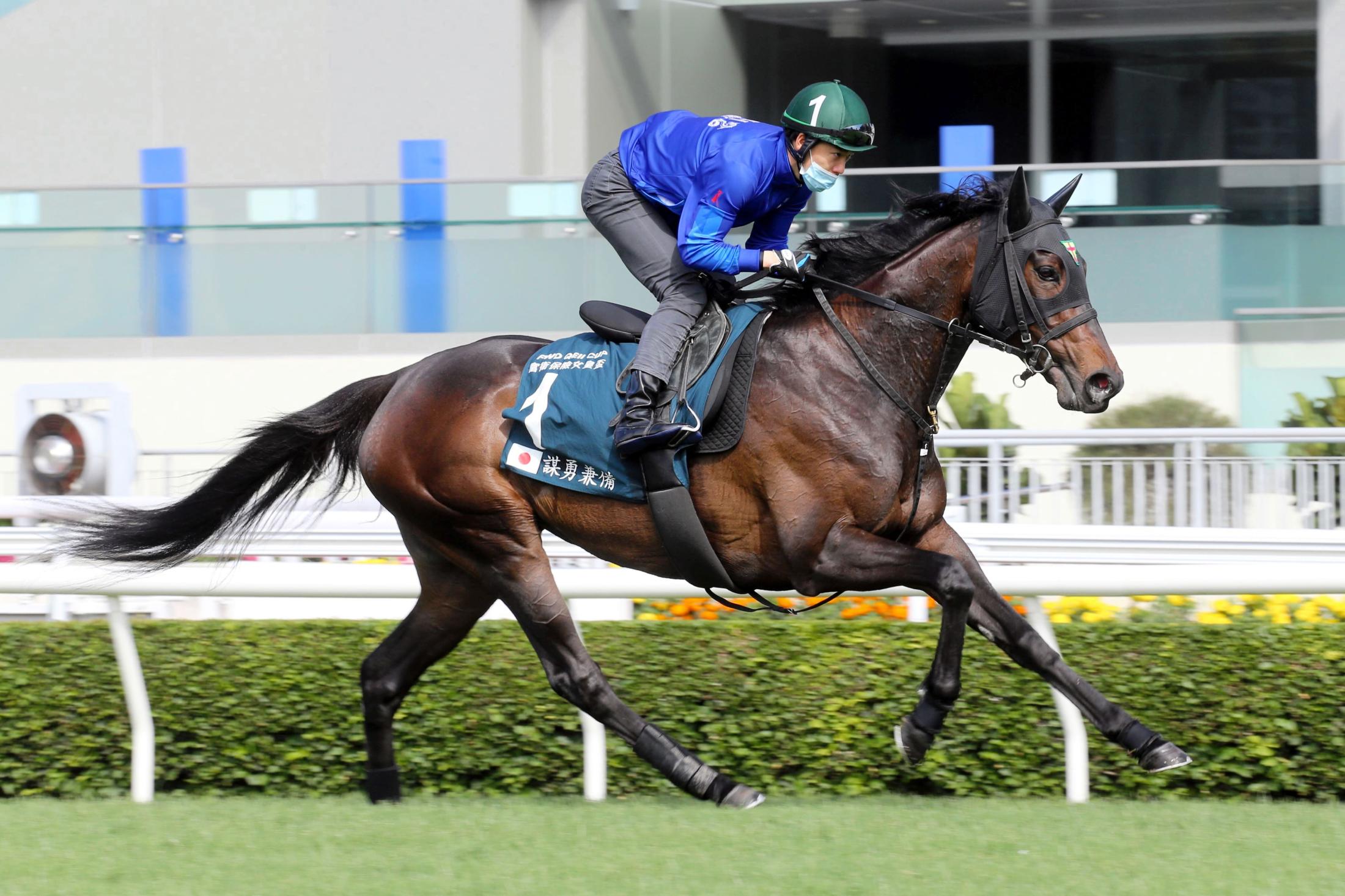 デアリングタクト陣営の揺るぎない信頼関係 松山に託すこと 何の迷いもなかった 競馬ニュース Netkeiba Com