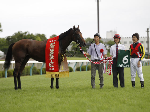 マイラーズc ケイデンスコール安田隆師 さらに馬体を大きくみせている ねぇさんのトレセン密着 競馬ニュース Netkeiba Com