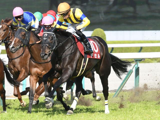 【ヴィクトリアマイル】デゼル陣営「東京競馬場で持ち味が生きる」/ねぇさんのトレセン密着