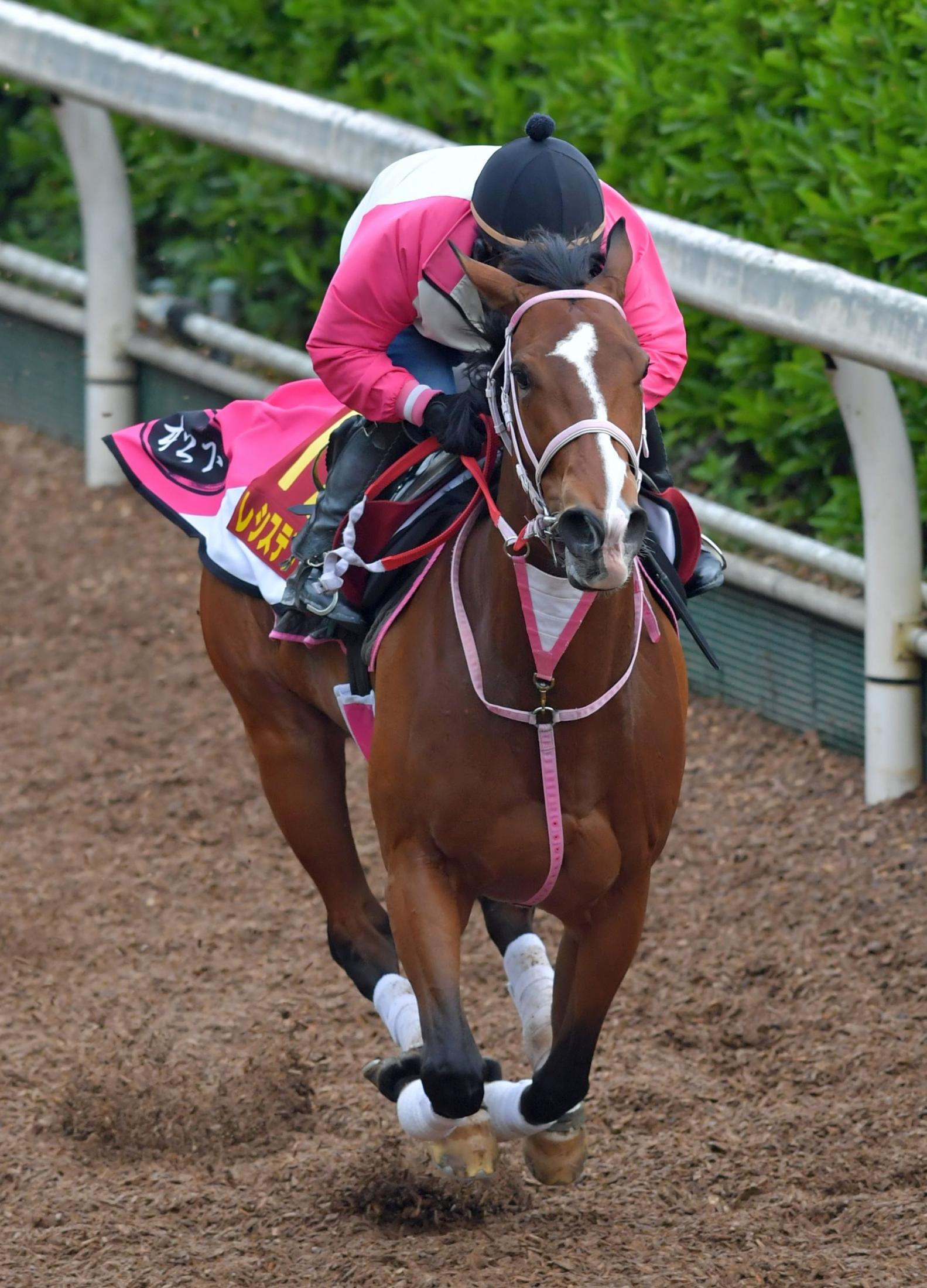 AVANTI社製 競馬ぬいぐるみ 阪神JF レシステンシア号 アバンティ